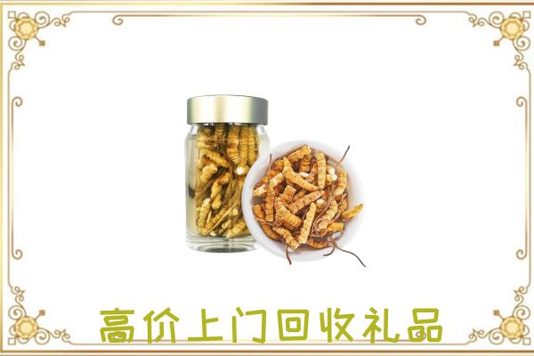 淄博周边回收虫草